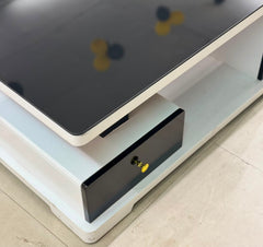 Modern High Gloss Coffee Table with Storage